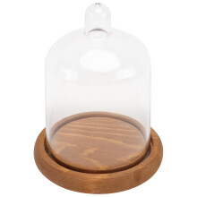 1St Heldere St Micro Landschap Dome Voor En Decor