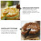 2St Cake Stencils Voor DIY Maken Met Stevig Plastic 6