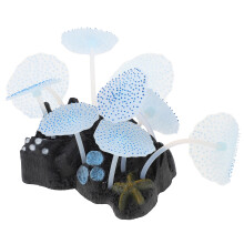 1St Compacte Blauwe Aquatische Plant Rockery Visvat En Aquarium