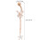 2St Belly Button Ring En Vrouwen 2