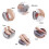 Carevas pillow massager 2