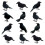 24Pcs Halloween Black Crows Feathered Crows Realistic Looking Handmade Feathered Crow , 3 Styles 5