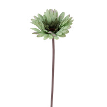 Silkki keinotekoinen gerbera päivänkakkara kukinta valkoinen realistinen kukkavarsi muovijalustalla ihanteellinen kaupalliseen koristeeseen