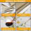 Kitchen Apron - Brand - Model - Waterproof and Stain Resistant 3