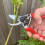 Spear & Jackson Spear & Jackson 6959BS Ergonomic Heavy Duty Secateurs 2