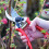 Spear & Jackson Spear & Jackson 6959BS Ergonomic Heavy Duty Secateurs 3