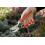 Spear & Jackson Spear & Jackson 6959BS Ergonomic Heavy Duty Secateurs 4