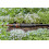 Gardena Gardena Micro-Drip-System Master Unit 1000: Starting unit for the automatic irri 7