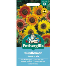 Fothergill's Sunflower Sunburst Mixed Flower Seeds, 50 Seeds, Sow: Mar-May, Yell