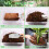 Riare 4 Pack Coco Husk Chips for Plants Organic Coco Chips Substrate High Expans 4