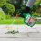 Roundup Roundup Path Weedkiller, 1L 2