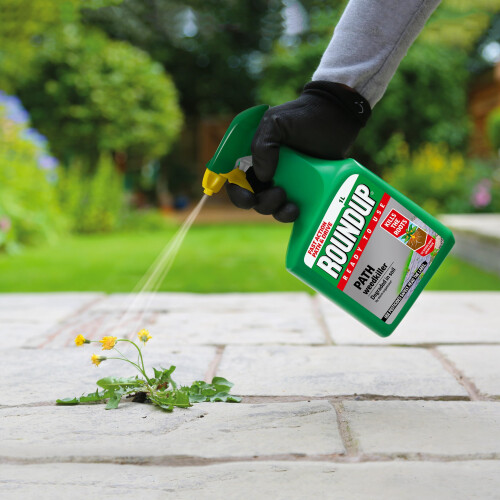 Roundup Roundup Path Weedkiller, 1L 1