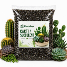 Cacti & Succulent Potting Mix – Fast Draining Soil Blend for Cactus, Succulents,