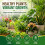 Fungus Defence Plus Spray 2.5L | Extra Large Plant Protection | Controls Blacksp 7