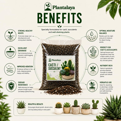 Cacti & Succulent Potting Mix – Fast Draining Soil Blend for Cactus, Succulents, 1