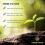 John Innes Seed Sowing Compost Soil Bag In 35 Litres - Nutrient Balanced Seed Co 7