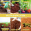Legigo Pack of 3 Organic Coco Coir Bricks- 100% Natural Compressed Coco Brick Co 6