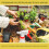 Legigo Pack of 3 Organic Coco Coir Bricks- 100% Natural Compressed Coco Brick Co 7