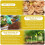 Legigo Pack of 3 Organic Coco Coir Bricks- 100% Natural Compressed Coco Brick Co 5
