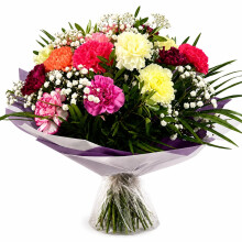 Fresh Feelings Mixed Carnation Bouquet Cut Flowers Gift