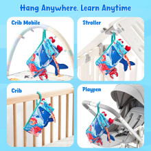 JoyCat Baby Books 06 Months Infant Tummy Time Toys Sensory Books for B