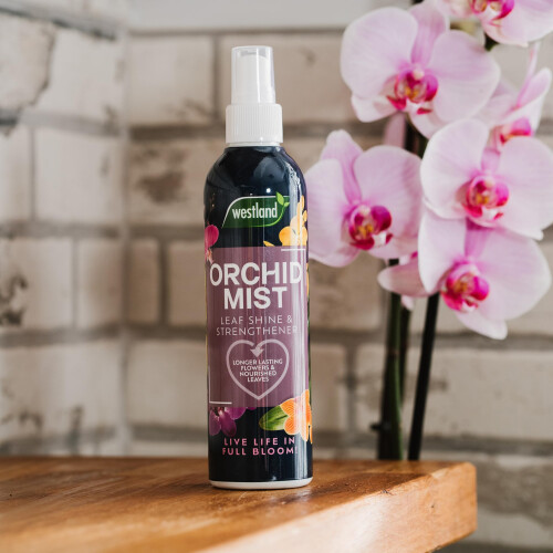 Westland Orchid Mist 250ml 1