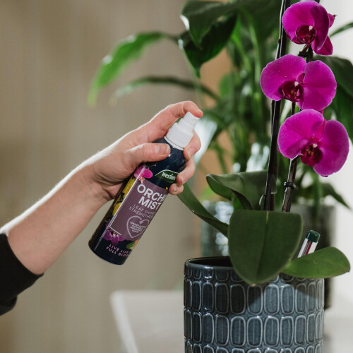 Westland Orchid Mist 250ml 2