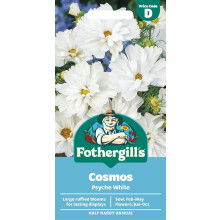 Mr Fothergill’s Cosmos Psyche White Seeds, 100 Seeds, Feb-May