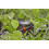 Gardena Gardena Micro-Drip-System Spray Nozzle 180 degrees: 180 degree spray head, adjus 7