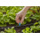 Gardena Gardena Micro-Drip-System Small Area Spray Nozzle: Spray Nozzle for Automatic Ir 6