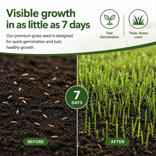 Premium Grass Seed - Fast Growing & Hard Wearing - 1.2 kg 1