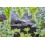 Gardena Gardena Micro-Drip-System Spray Nozzle 180 degrees: 180 degree spray head, adjus 5