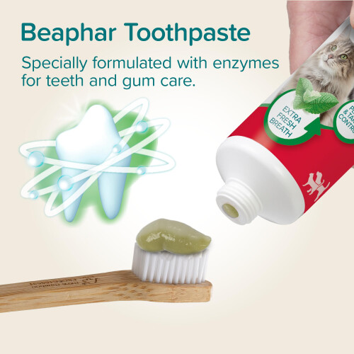 Beaphar Beaphar – Liver Flavour Toothpaste with Enzymes - Peppermint Oil & Parsley for E 1