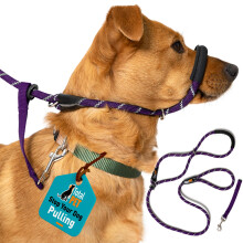 Purple Total Pet Figure of 8 Dog Lead - Anti Pull Stop Dogs Pulling - Rope Slip
