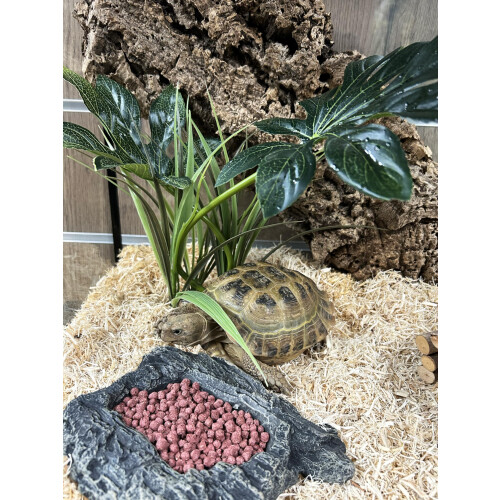 Komodo Komodo Complete Holistic Tortoise Diet Dandelion 340 g 1