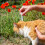 Flea & Tick Spot-On Repellent for Cats 2 Pack Solution Prevent Infection Repels 7