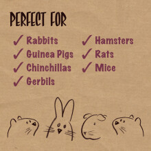Rosewood Naturals Nibble Woodroll with Carrot, Small Animal Treat and Gnaw Toy f