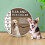 2 PCs Dog Collars, Adjustable Collar for Dogs Waterproof Soft Comfortable Collar 2
