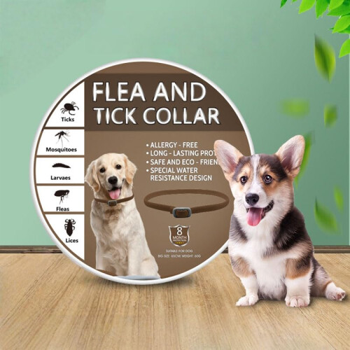 2 PCs Dog Collars, Adjustable Collar for Dogs Waterproof Soft Comfortable Collar 1