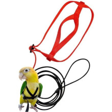 Pettorina e guinzaglio per uccelli - SODIAL - Rosso - Regolabile - 202 cm - Per esterni