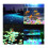 Decorative luminous pebbles - 100 pieces - Fluorescent - 1.8 to 3 cm 4