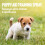 Simple Solution House-Training Aid for Puppies and Dogs - 500ml 4