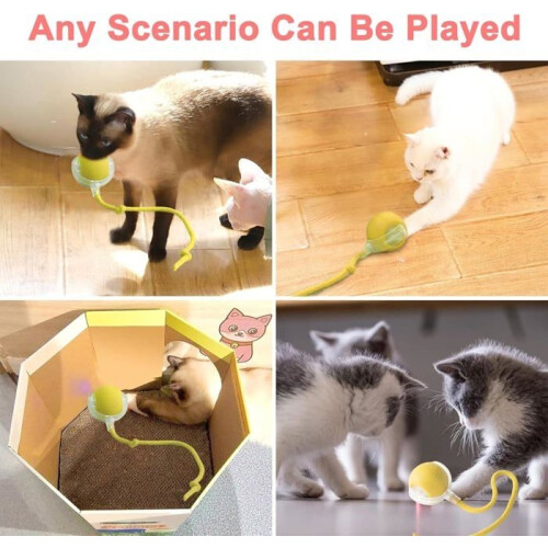 Interactive toy - Automatic ball - For cats and dogs - USB charging - Obstacle avoidance 2