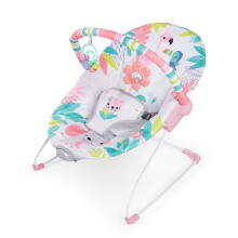 Bright Starts, Flamingo Vibes Baby Rocker, Baby Swing with Soothing Vibrations,