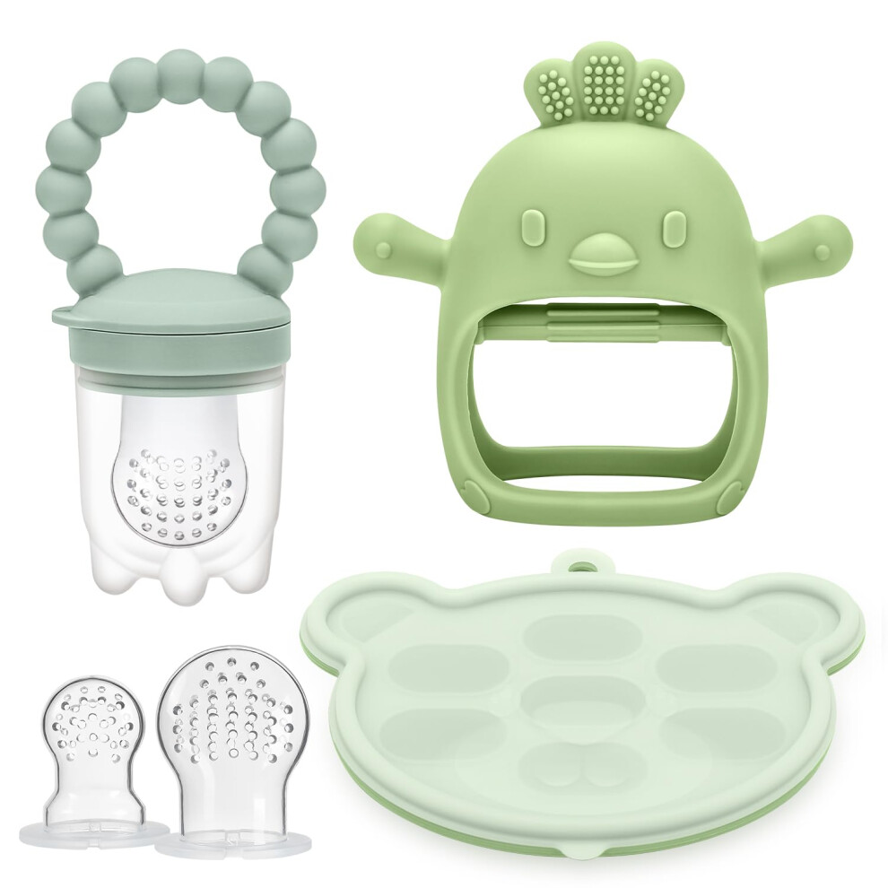 Cldy Baby Fruit Food Feeder & Breastmilk Popsicle Freezer Molds, Baby Food Dummy