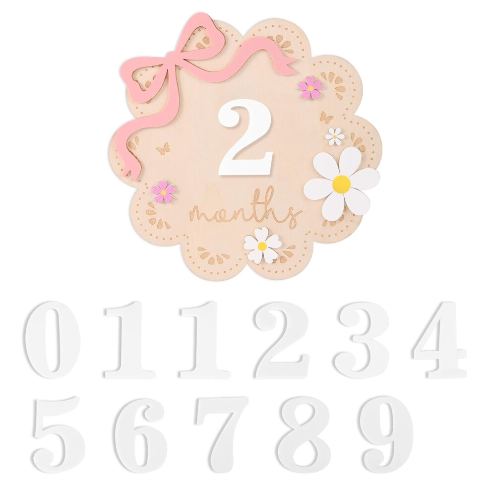 Fukaisu Baby Monthly Milestone Sign For Girl, 1-12 Months Wooden Baby Milestone Marker W