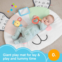 FisherPrice Baby Tummy Time Toy Puppy Perfection Giant Play Mat with S