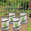 4-Pack Pop-Up Plant Covers with Insect Netting, 32x52cm Foldable Mesh Protectors 6