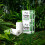 The Cheeky Panda The Cheeky Panda Bamboo Kitchen Roll | 10 Kitchen Rolls - 1000 Super Strong Shee 8