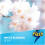 Flash Flash Spray Wipe Done Bathroom Antibac Cleaning Spray White Blossom 800ML 4